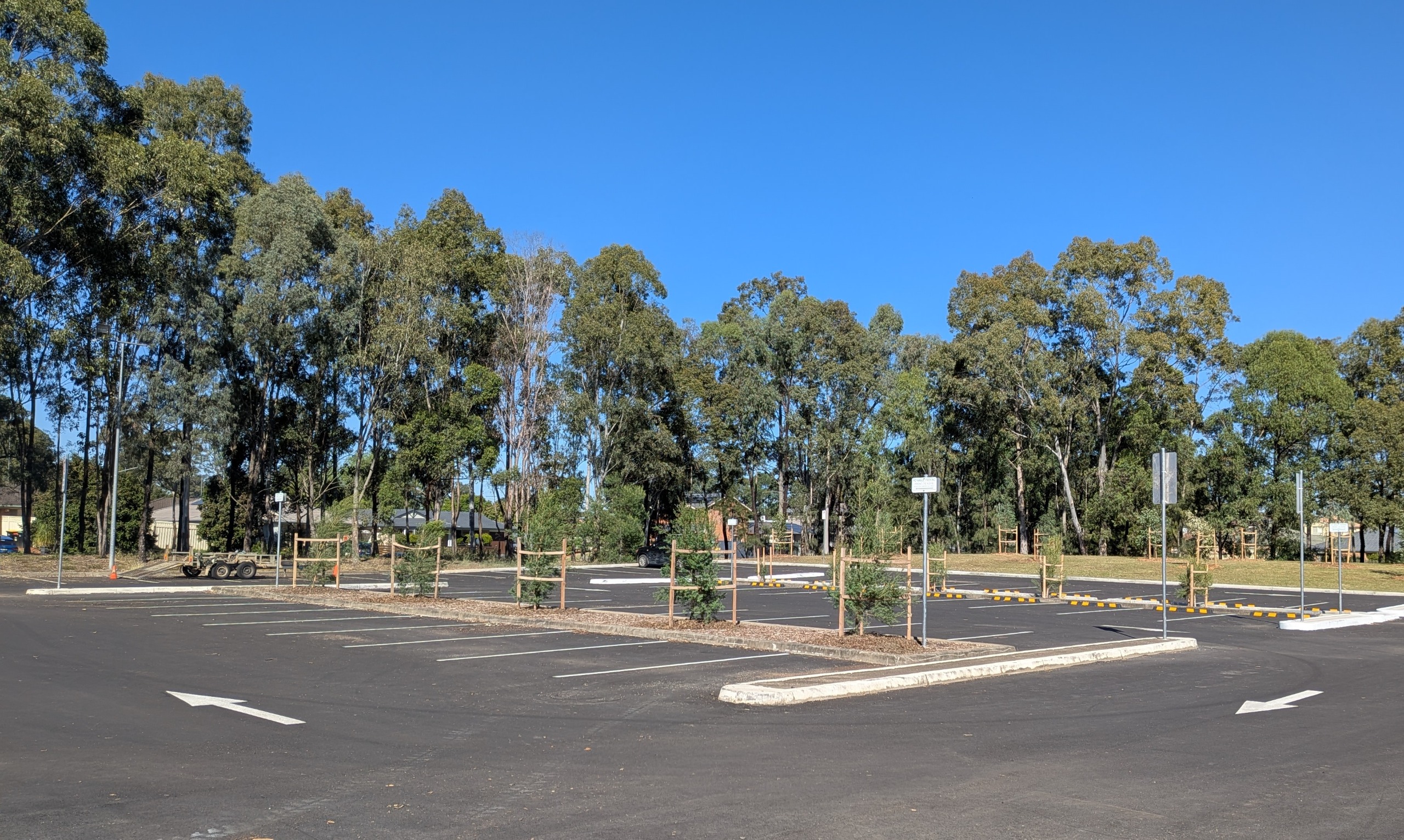 New tree planting at Andromeda Drive Reserve 