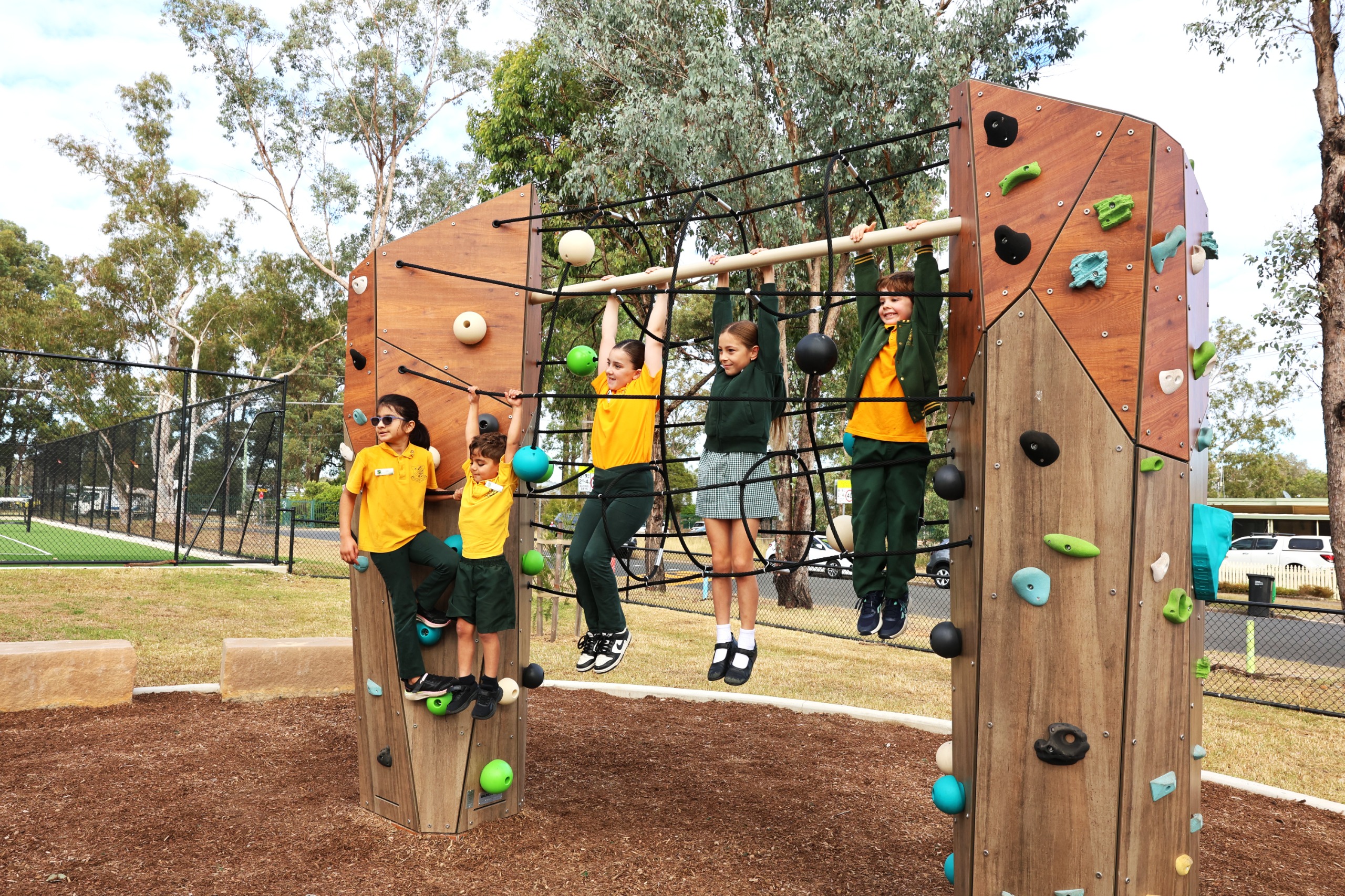 Climbing boulder for the big kids